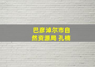 巴彦淖尔市自然资源局 孔楠